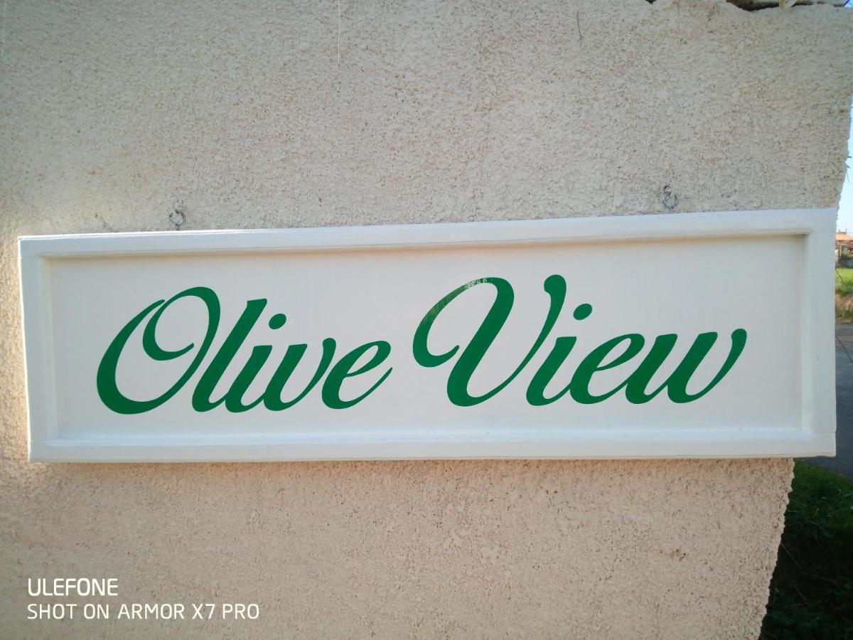 Olive View Villa Puissalicon Eksteriør bilde